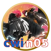 cwin05
